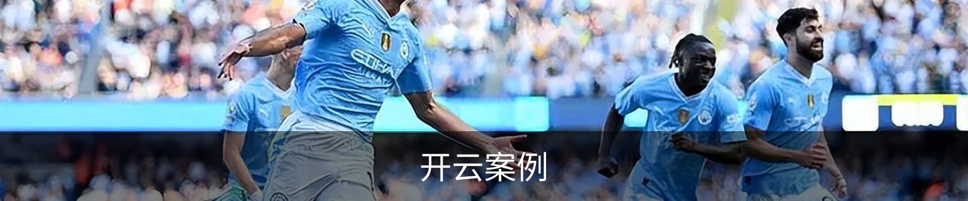 开云案例